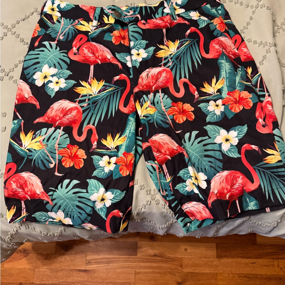 LoudMouth Shorts size 34